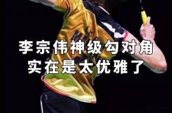 开云官网-中国羽毛球队完胜韩国羽毛球队，李宗伟送出助攻的简单介绍