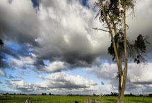 开云体育下载-世界网球队血洗德国网球队，穆雷一己之力扛起全队的简单介绍