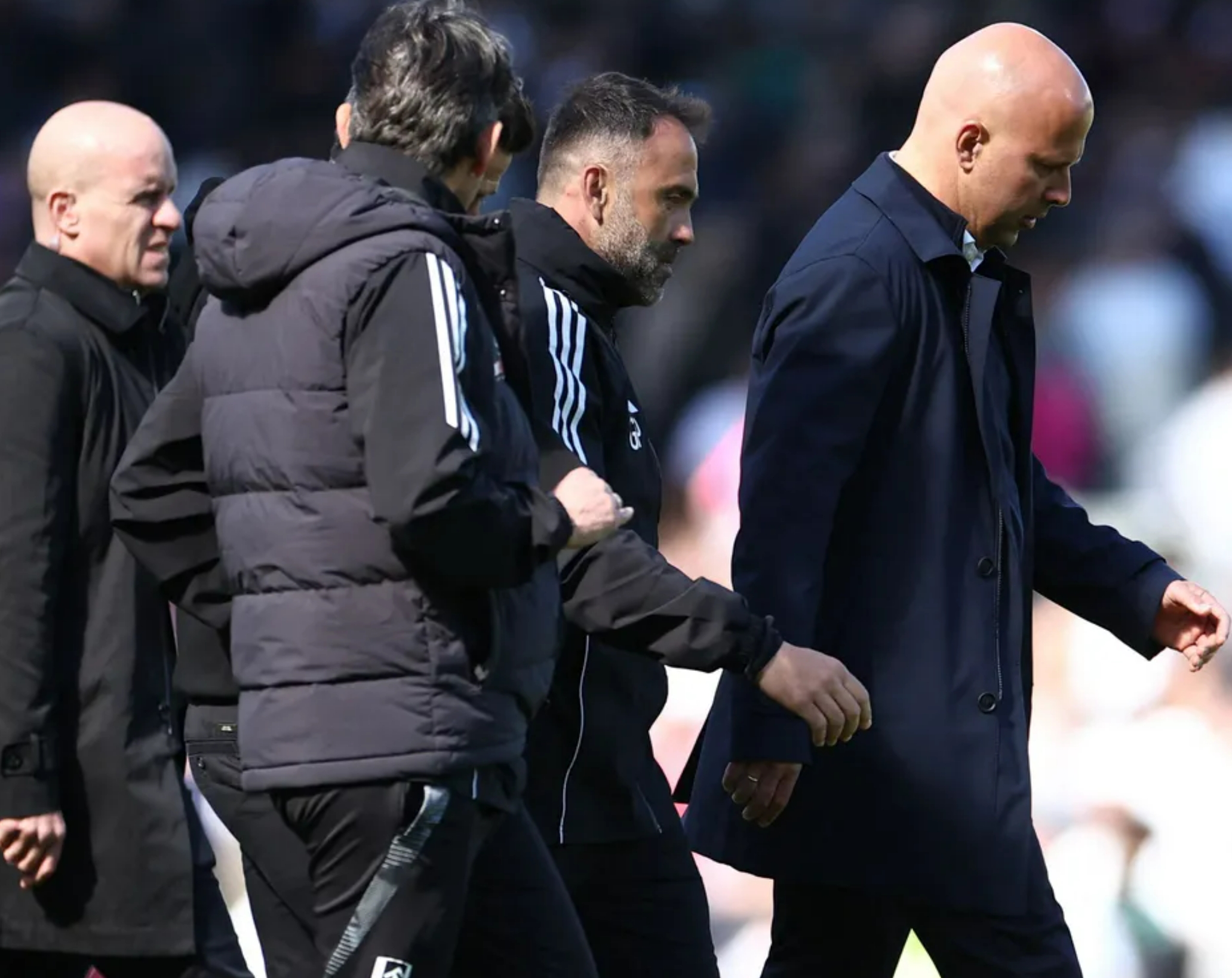 富勒姆主场不敌纽卡斯尔联,遭遇失利 富勒姆主场不敌纽卡斯尔联,遭遇失利