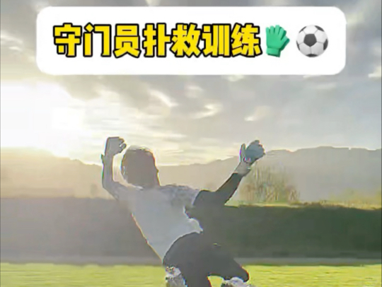 关于出色的守门员扑救，挽救球队千钧一发的成绩的信息