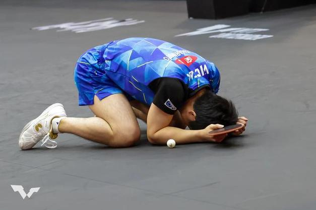 印尼羽毛球队绝杀丹麦羽毛球队，陶菲克爆发神勇的简单介绍