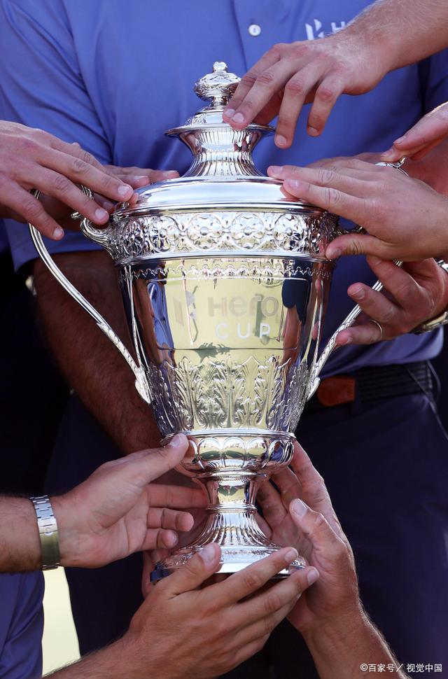 戴维斯杯力克年终总决赛，蒂姆扛起全队的简单介绍
